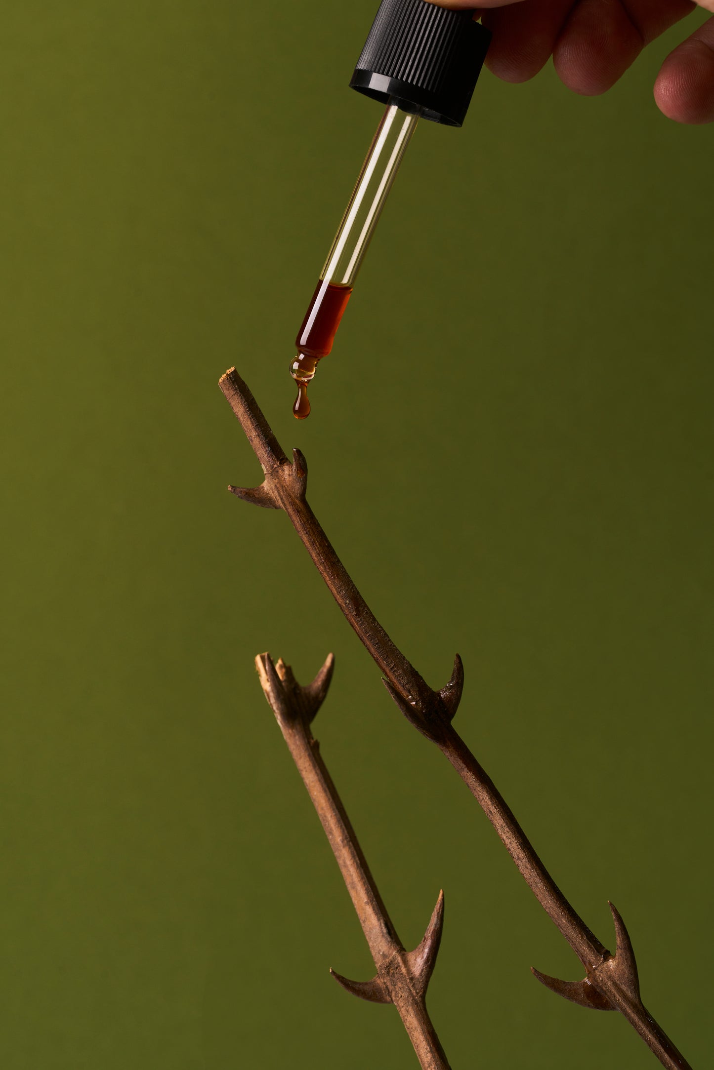 Ethnobotanical Tincture