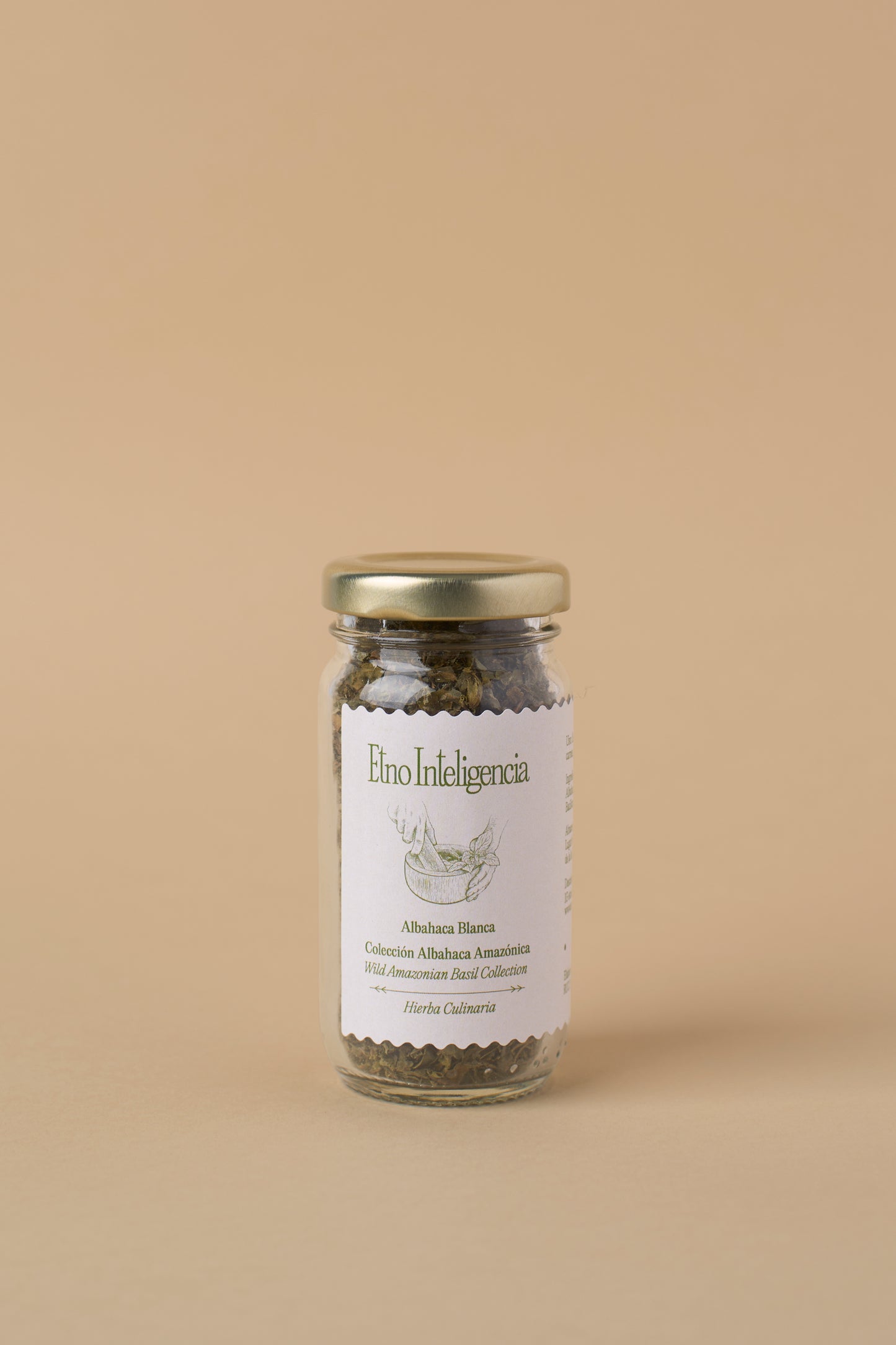 Culinary Herb - White Basil