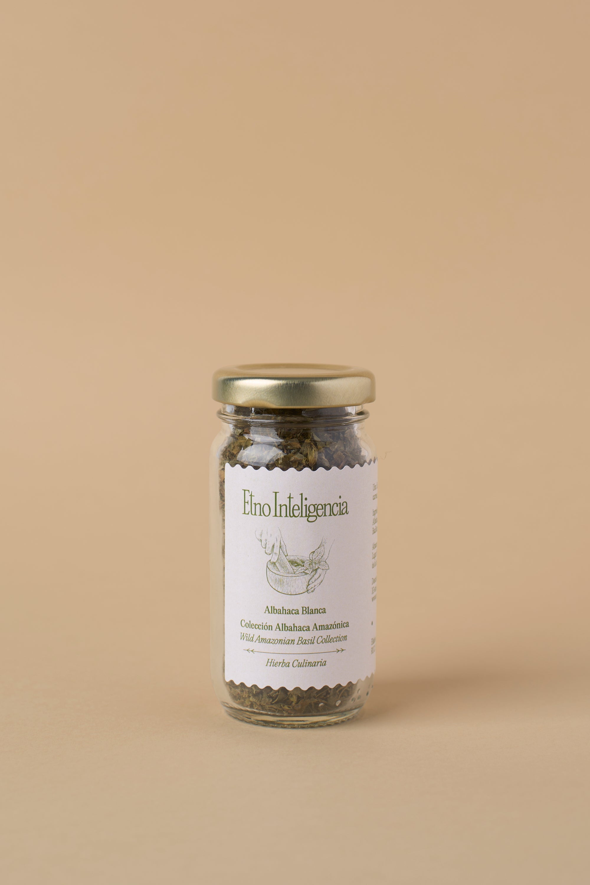 Hierba Culinaria - Albahaca Blanca
