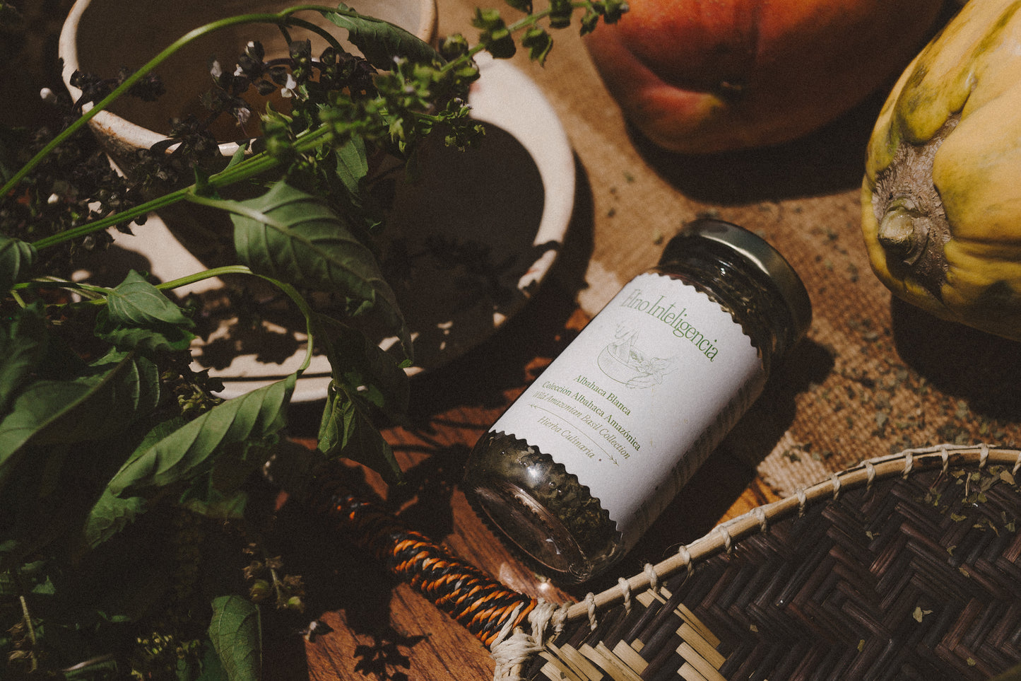 Culinary Herb - White Basil
