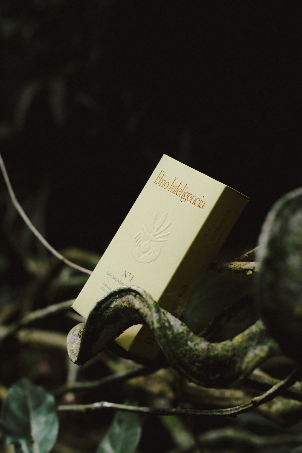 Infusión N°1 Albahaca de Monte
