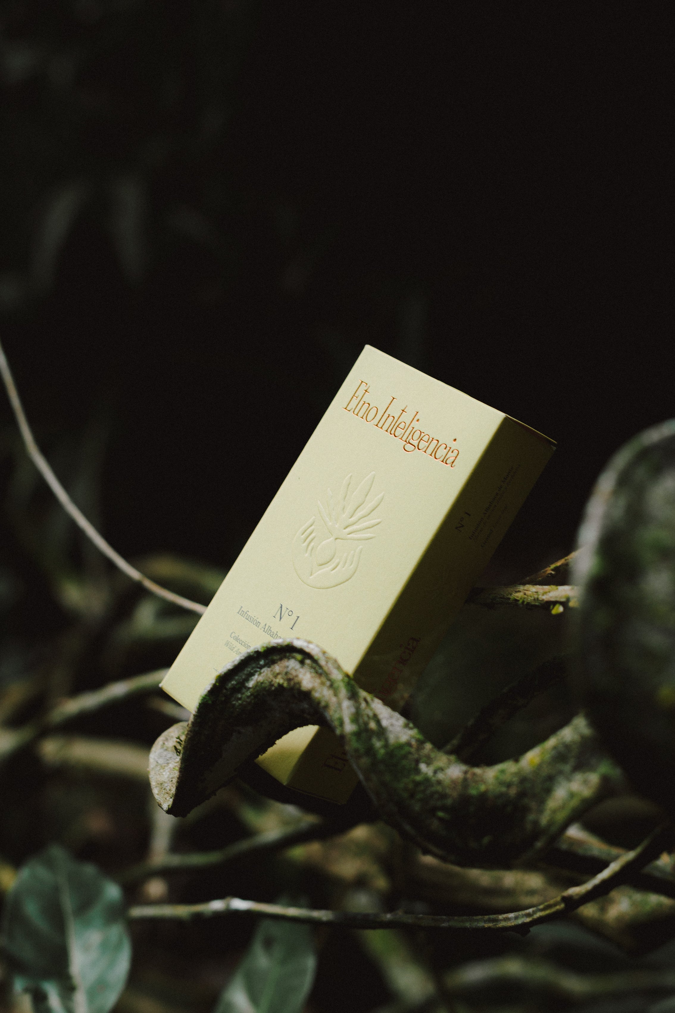 Infusión N°1 Albahaca de Monte